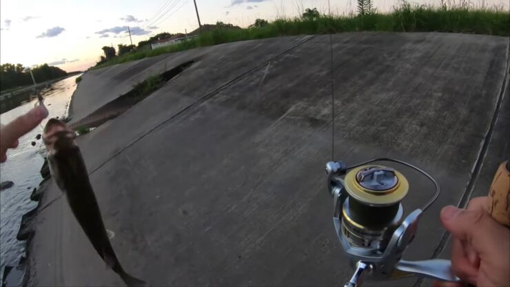 Best Fishing Line for Baitcaster - Buying Guide - Thickness
