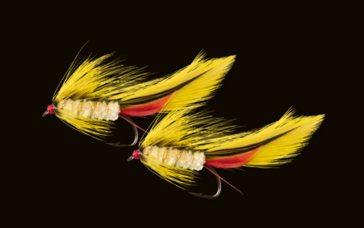 Buzz Baits