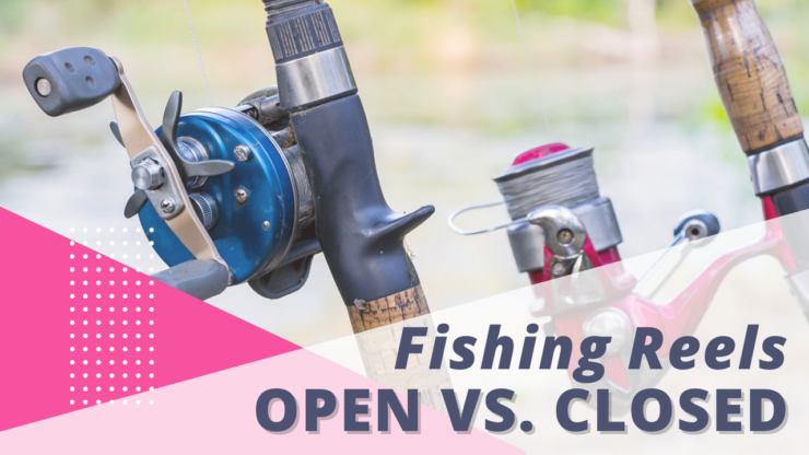 Open Vs. Closed Fishing Reels