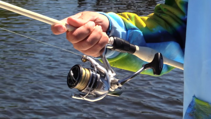 Spinning Reel