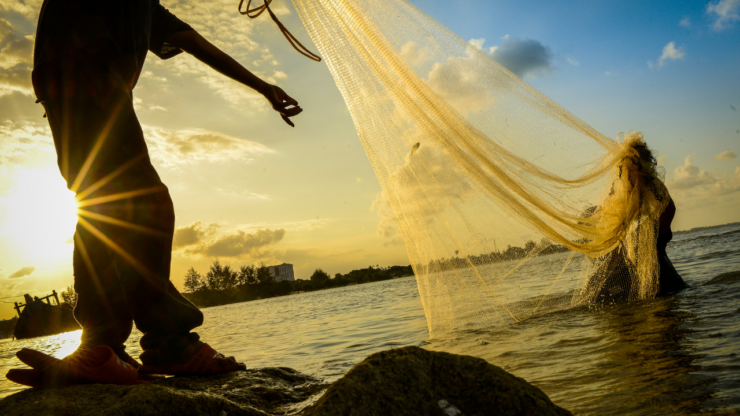 Throwing a Net