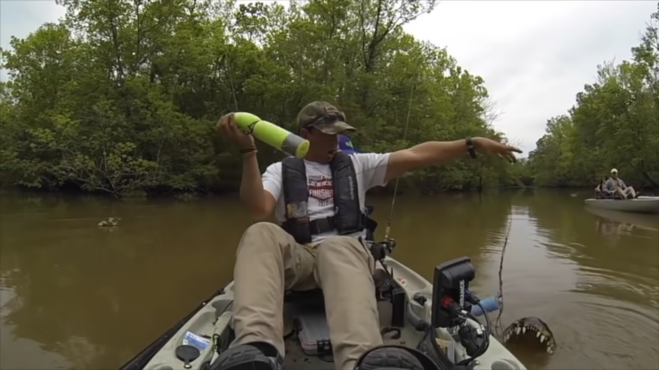 alligator attack