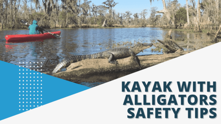 kayak dengan tips keamanan aligator