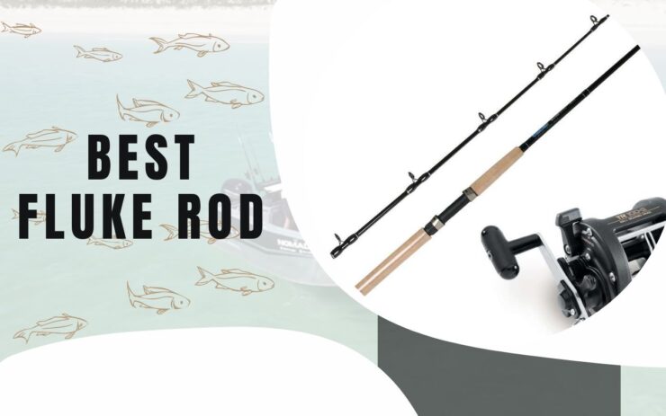 Besti Fluke Rod