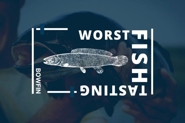 Worst Tasting Fish According to Anglers - Seafood You Should Avoid