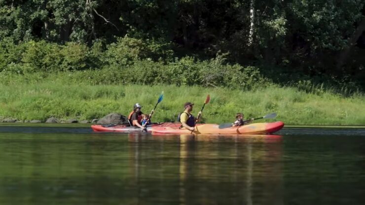 Kayaks or Canoes