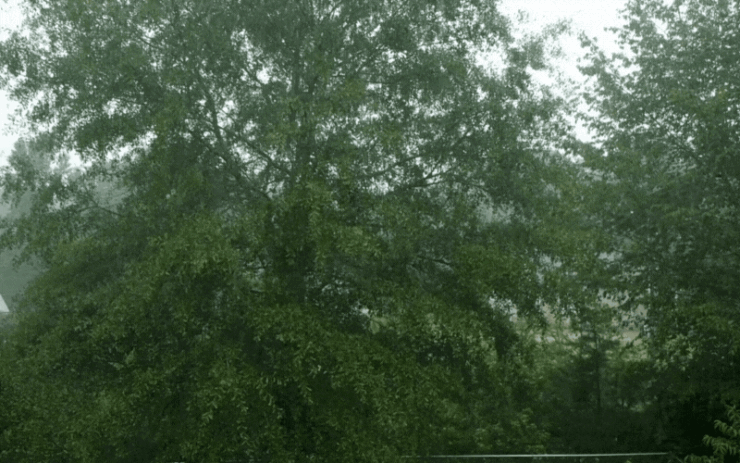 Rain