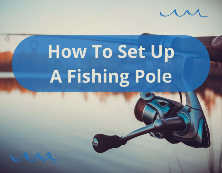 Set Up A Fishing Pole