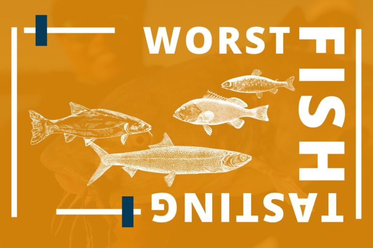 Verst smakende fisk ifølge sportsfiskere
