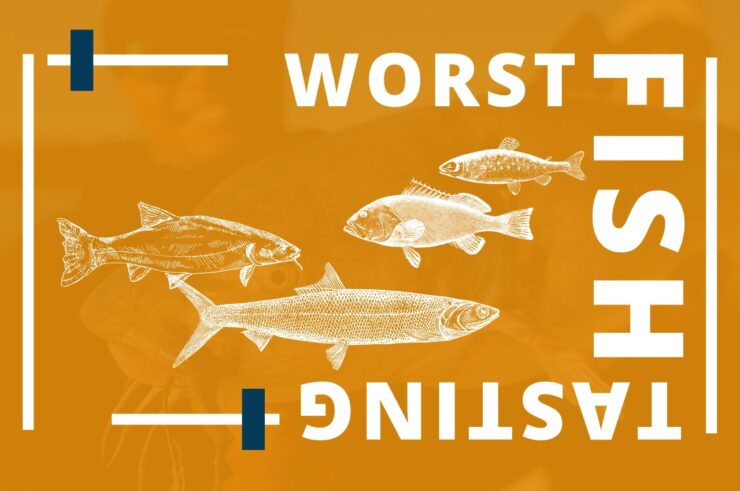 Worst Tasting Fish according to anglers