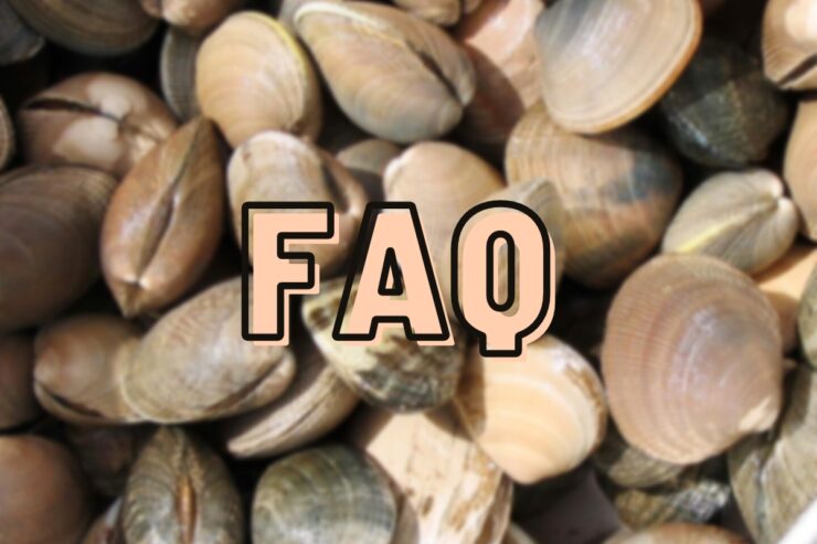 clam rakes faq