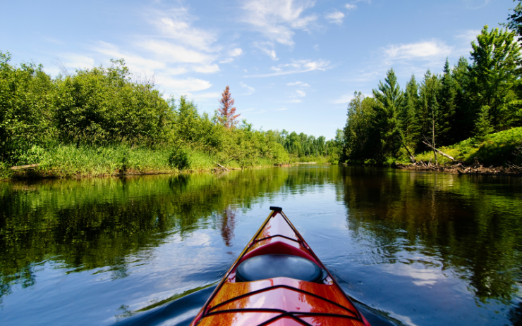 kayak