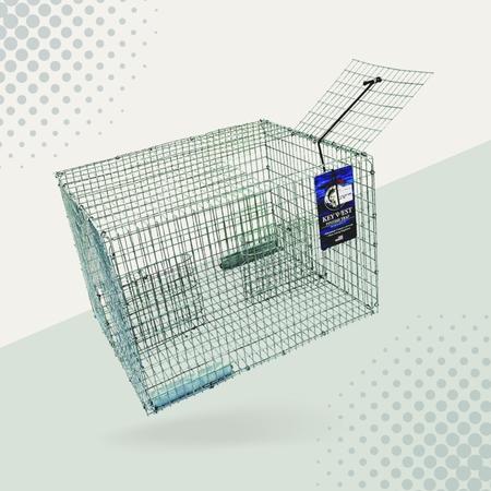 Joy Store Fish Pinfish Trap