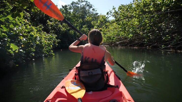 Kayaking Good for Weight Loss