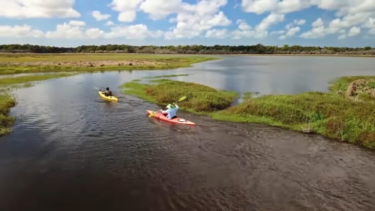 Kayak con caimanes en Florida