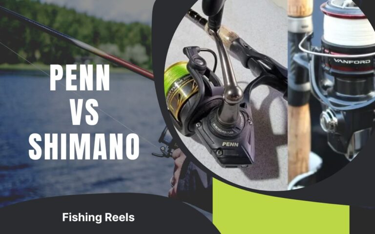 Penn-vs-Shimano-fishing-reels-1
