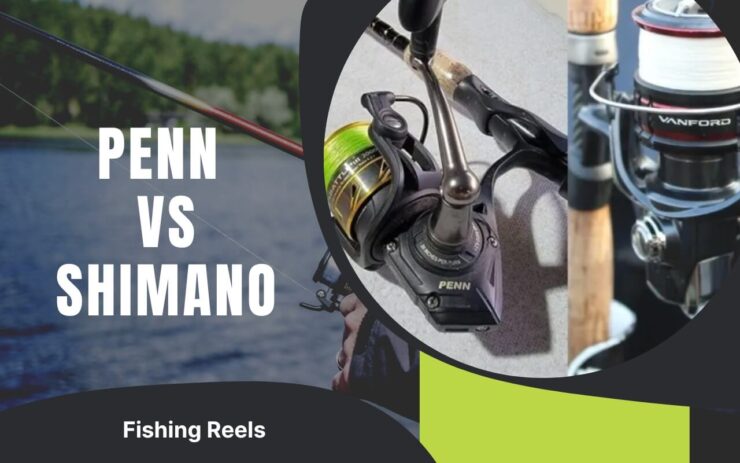 Penn-vs-รอกตกปลา Shimano-1