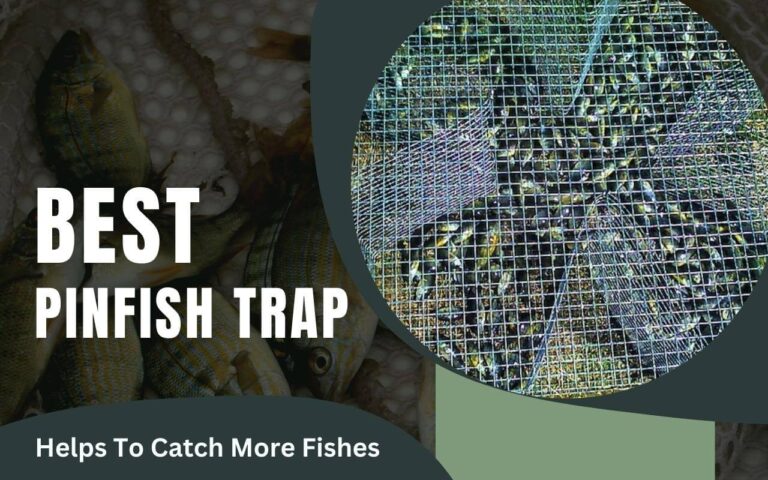Trappola per Pinfish