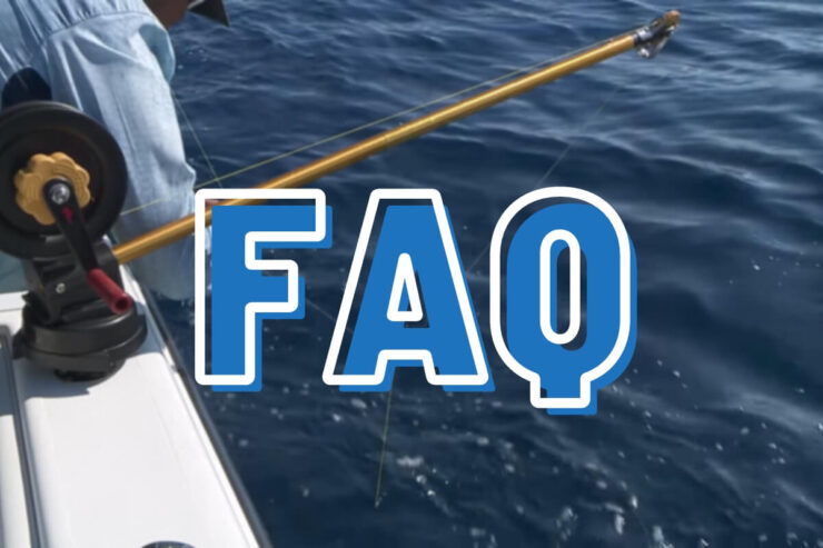 downriggers faqs