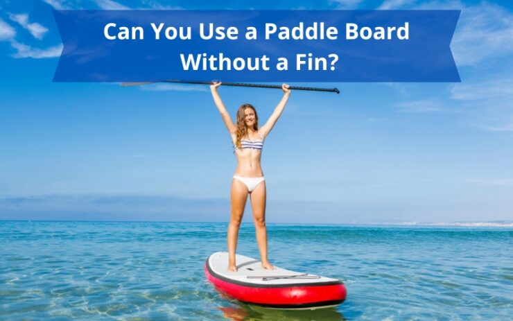 paddle board