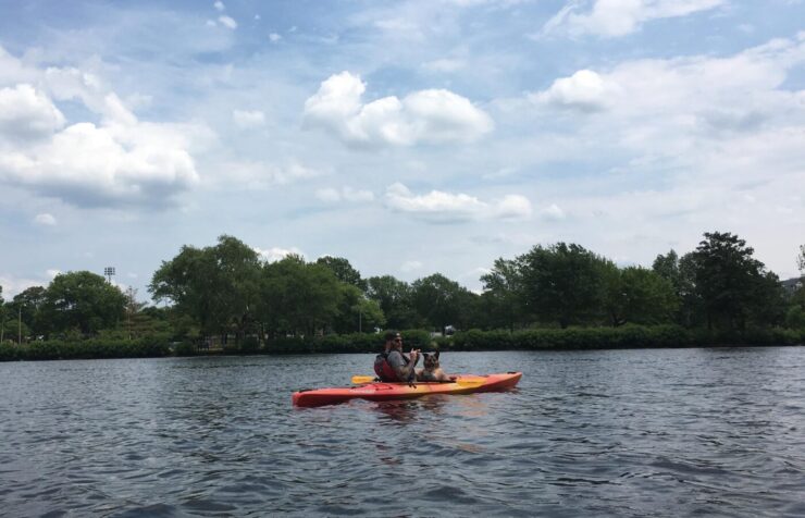 Aventures sur l'eau avec vos meilleurs amis à fourrure