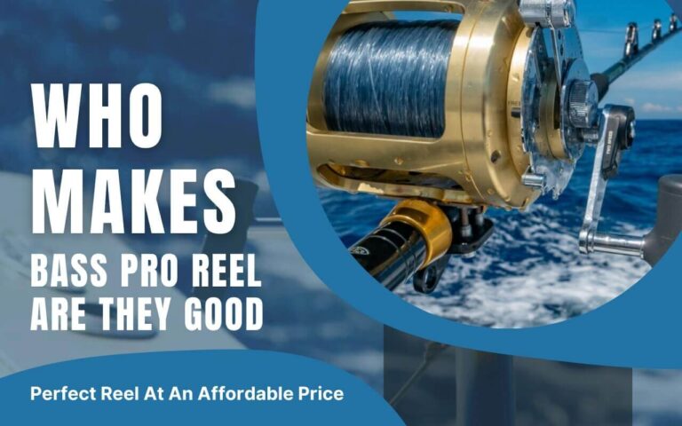 Bass Pro Reel At An Affordable Price