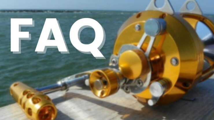 Kingfish Reels Faqs