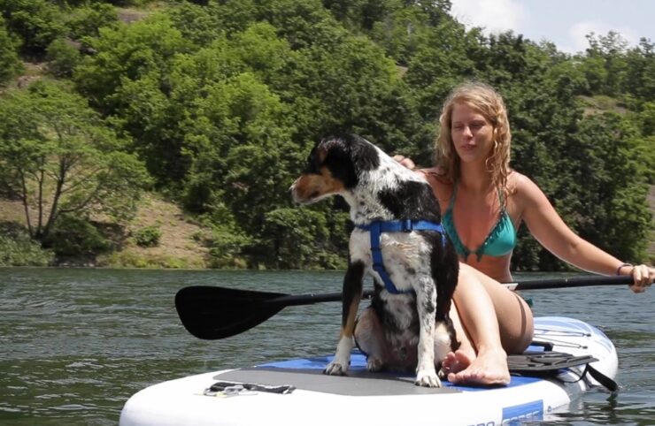 kayak con perro