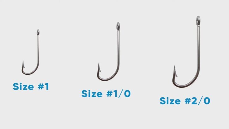 Fishing Hooks - Sizes & Types