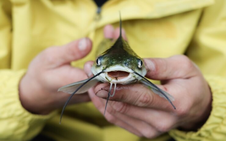 Hand fishing