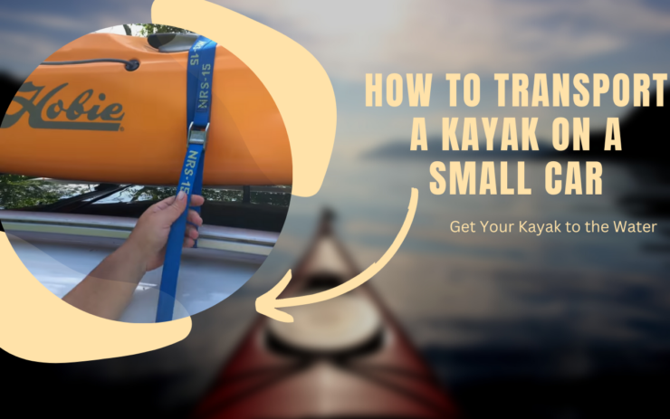 transport kayak