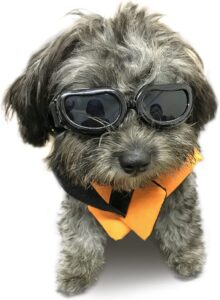 Gafas de sol para perros