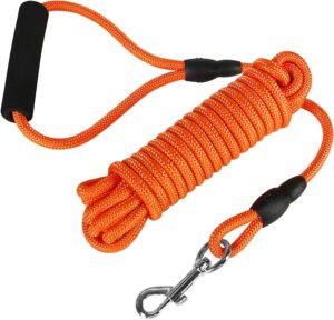 Laisse longue vivifiante pour chien