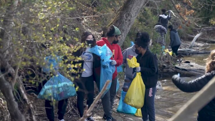 Watershed Cleanup