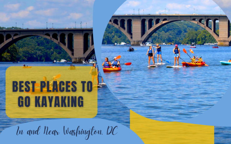 best places to go kayaking