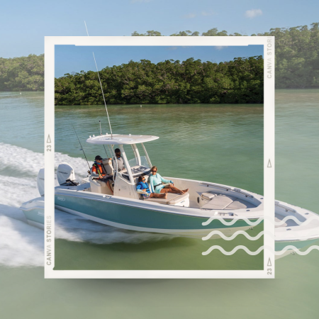 Boston Whaler 250 Digalon