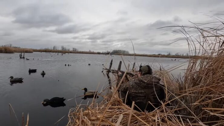 Chasse au canard en kayak