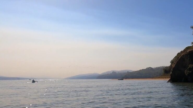 Melonta Tomales Bay