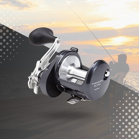 Shimano Torium SW