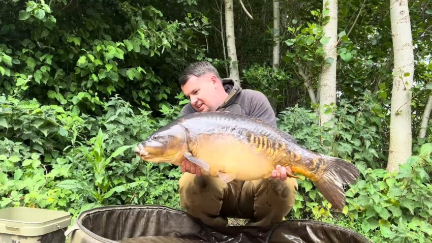 An angler holds a large ghost carp beside dense greenery