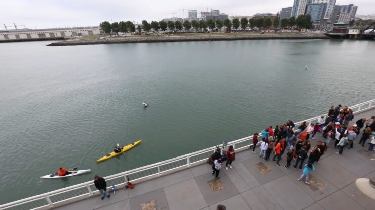 kayak in McCovey