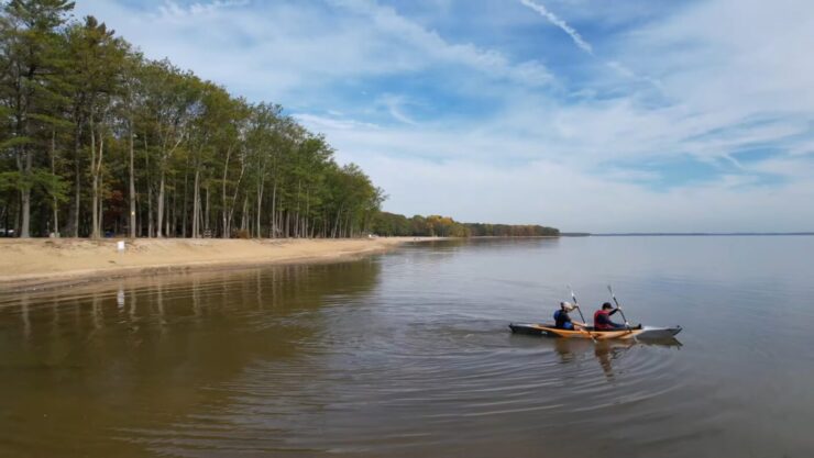 kayaks