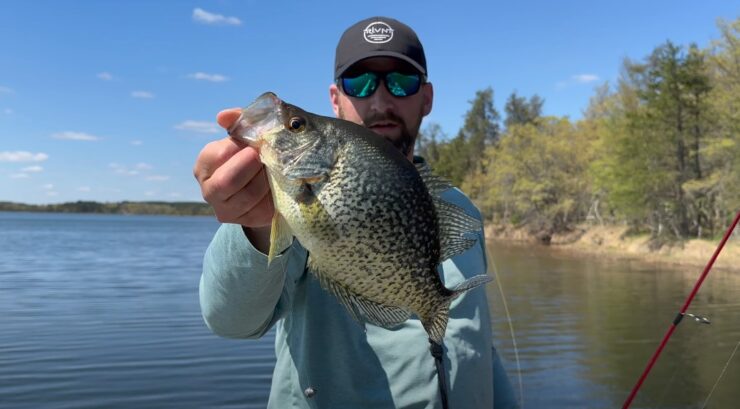 For Live Bait