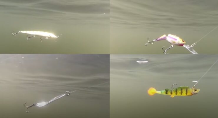 Hook color of bass fishing