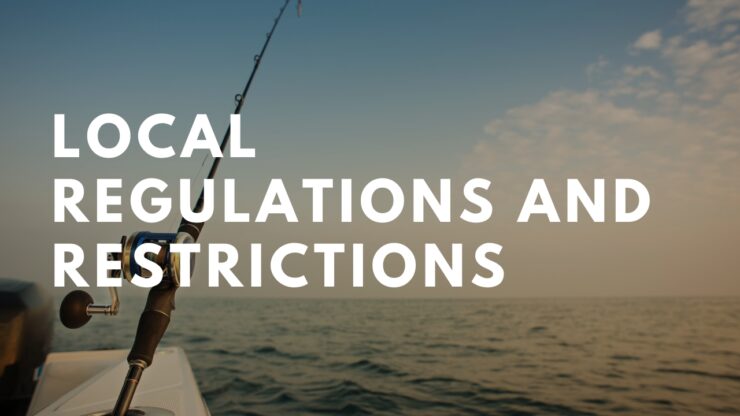 Local Regulations and Restrictions