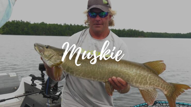 Musky