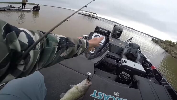 art of selecting the right bass hook