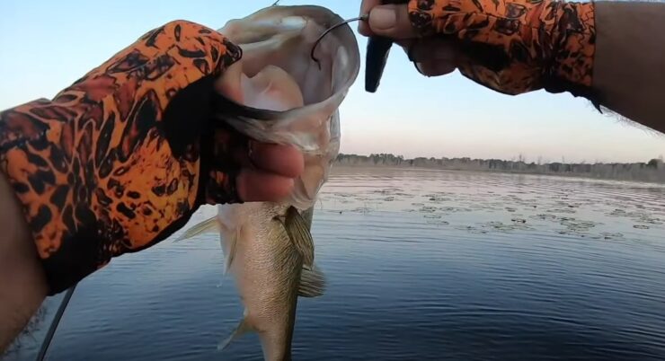 hooks
