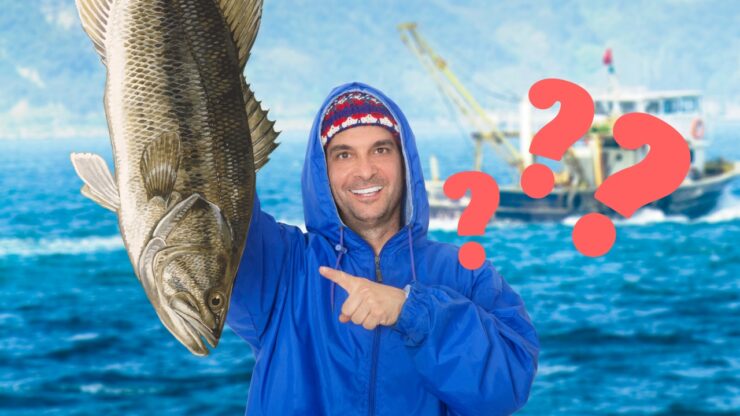 Can You Eat Largemouth Bass