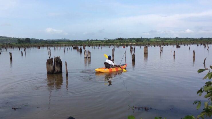Jízda na kajaku na jezeře Gatun, Panamský průplav